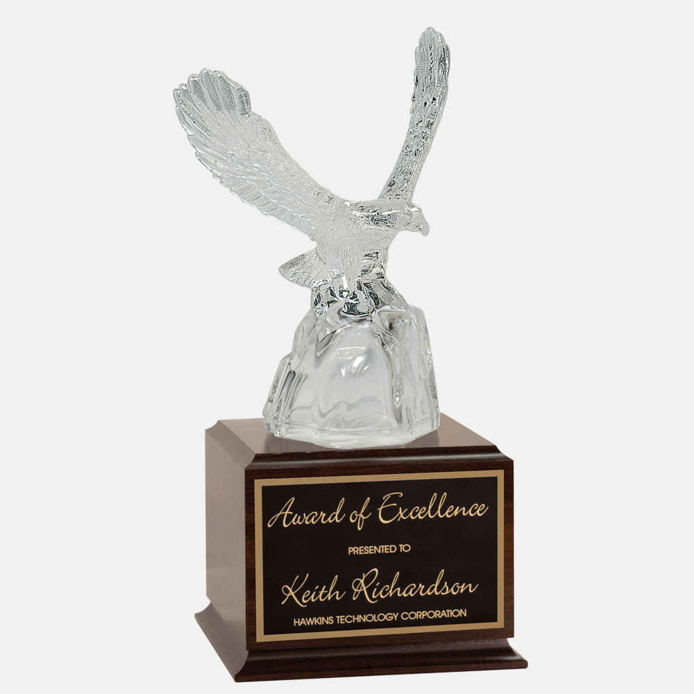 Glass Eagle on Base - Awards for Less